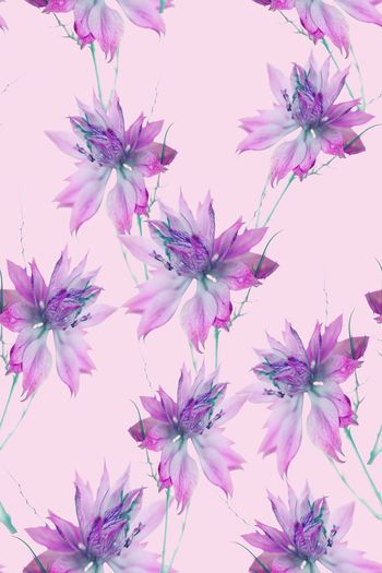 590932-时尚清爽优雅朦胧花卉