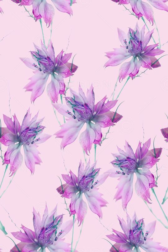 可爱系列印花华亿平台图片