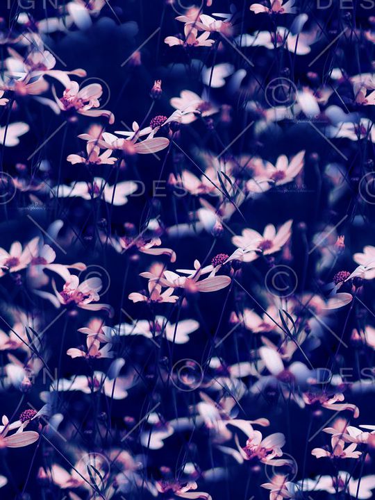 复古印花华亿平台图片