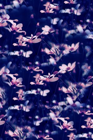 复古印花华亿平台图片