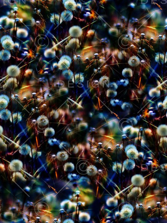 复古印花华亿平台图片