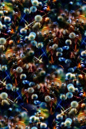 复古印花华亿平台图片