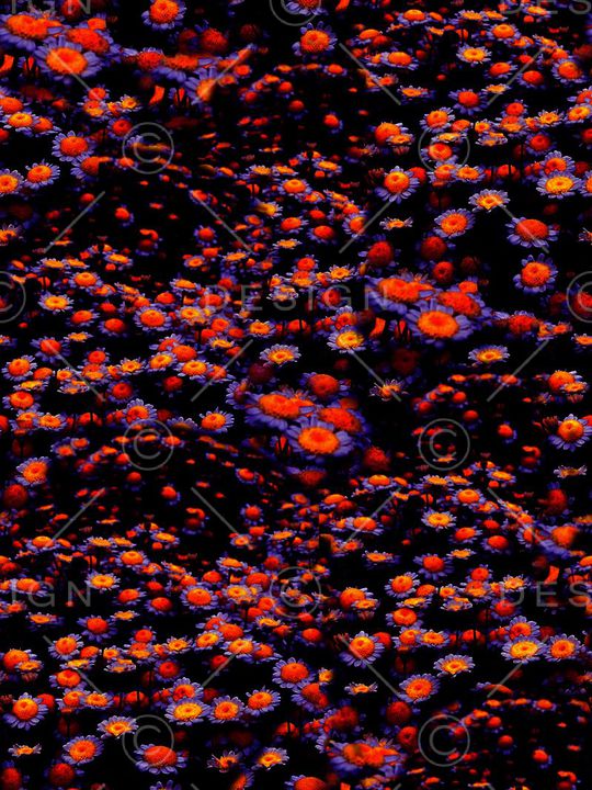 复古印花华亿平台图片