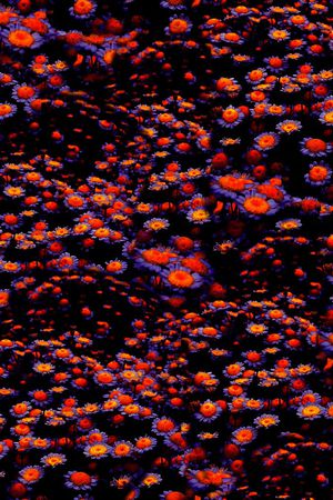 复古印花华亿平台图片