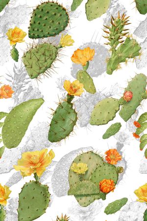 清新印花华亿平台图片