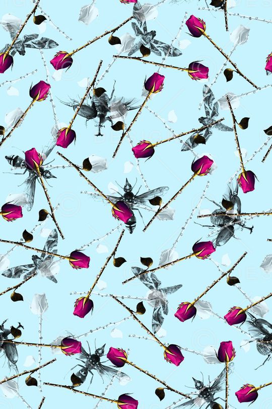 蜜蜂蝴蝶印花华亿平台图片