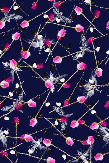 591017-昆虫玫瑰花蜜蜂蝴蝶