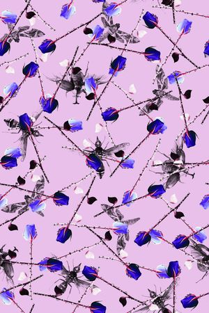 蜜蜂蝴蝶印花华亿平台图片