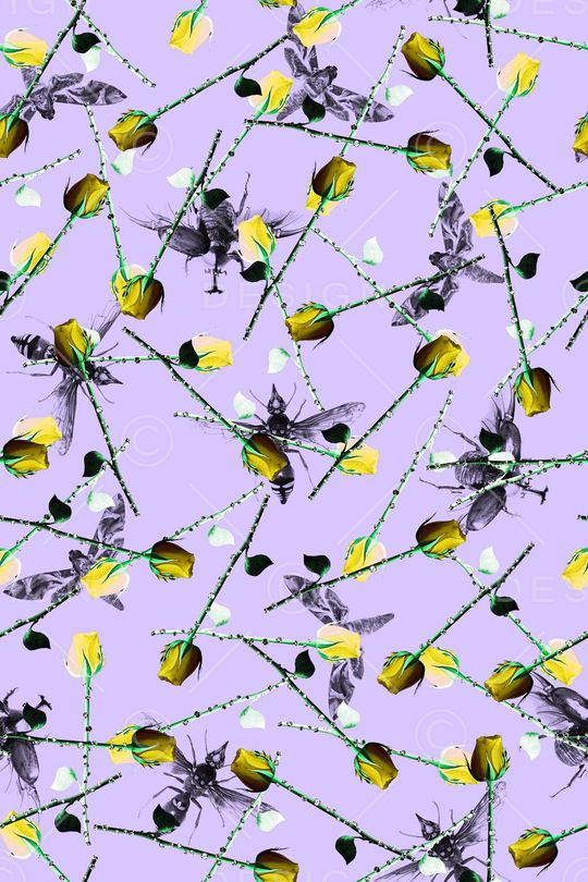 蜜蜂蝴蝶印花华亿平台图片