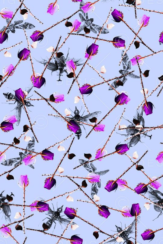 蜜蜂蝴蝶印花华亿平台图片