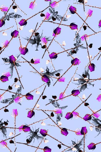 蜜蜂蝴蝶印花华亿平台图片