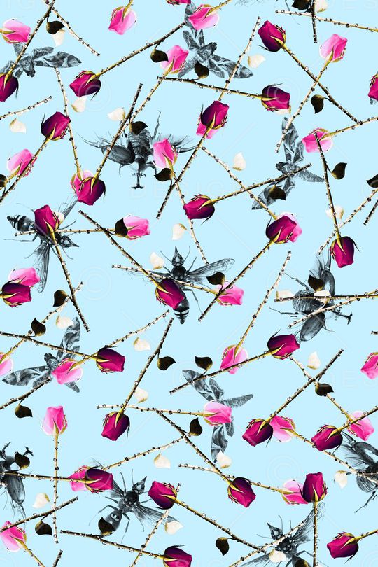 蜜蜂蝴蝶印花华亿平台图片