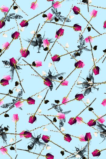 591021-昆虫玫瑰花蜜蜂蝴蝶