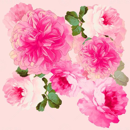 牡丹印花华亿平台图片