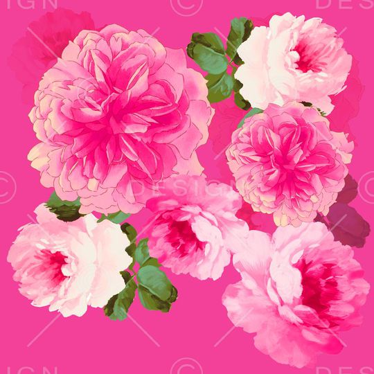 牡丹印花华亿平台图片