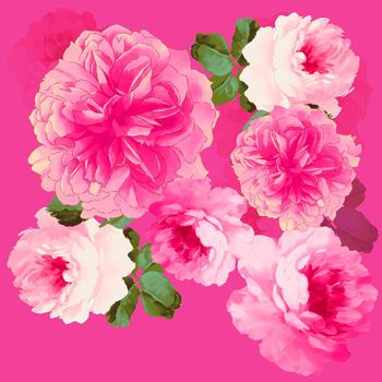 591229-大花杜丹花卉