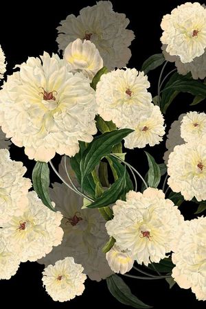 牡丹印花华亿平台图片