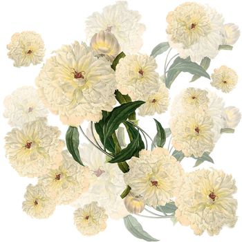 591242-时尚大花卉