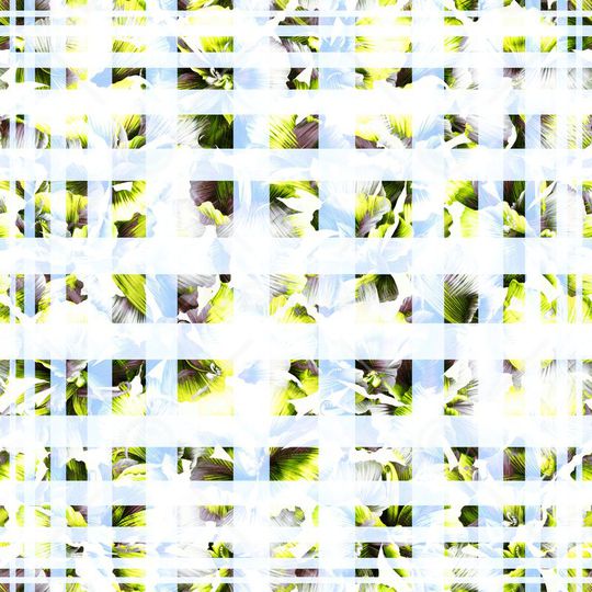 方格印花华亿平台图片