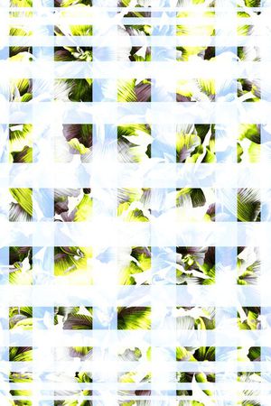 方格印花华亿平台图片