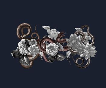 蛇元素印花华亿平台图片