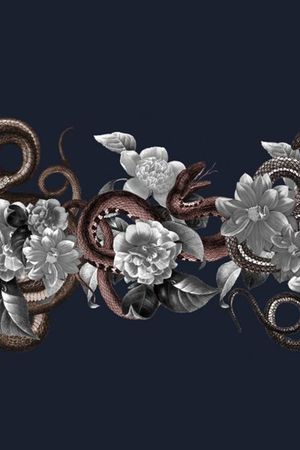 蛇元素印花华亿平台图片