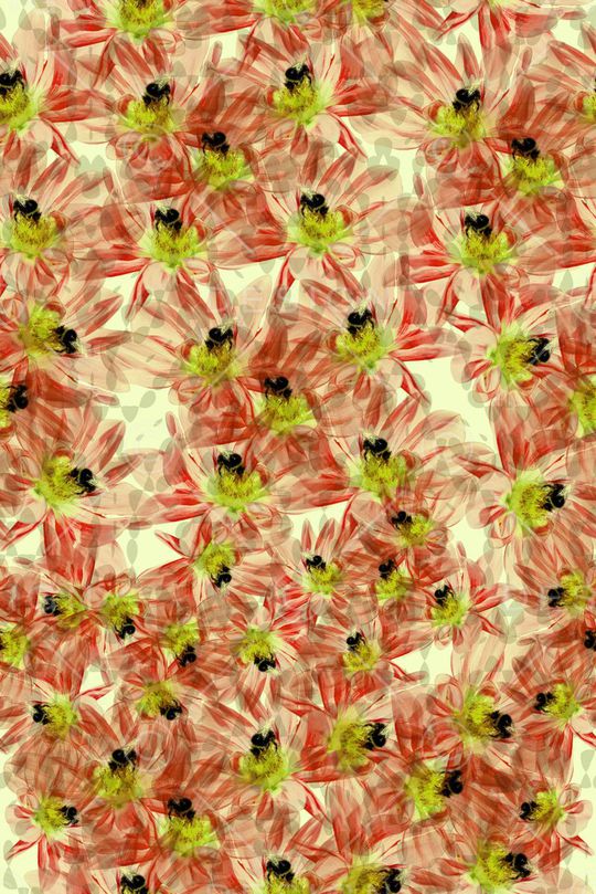 零点--女装印花华亿平台图片