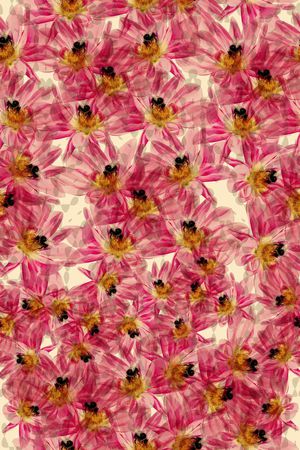 零点--女装印花华亿平台图片