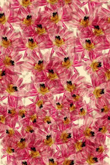 591429-花卉水彩 新潮时尚