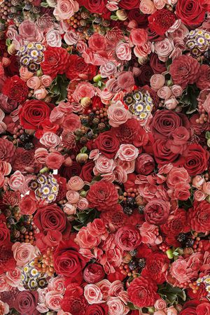 欧美印花华亿平台图片