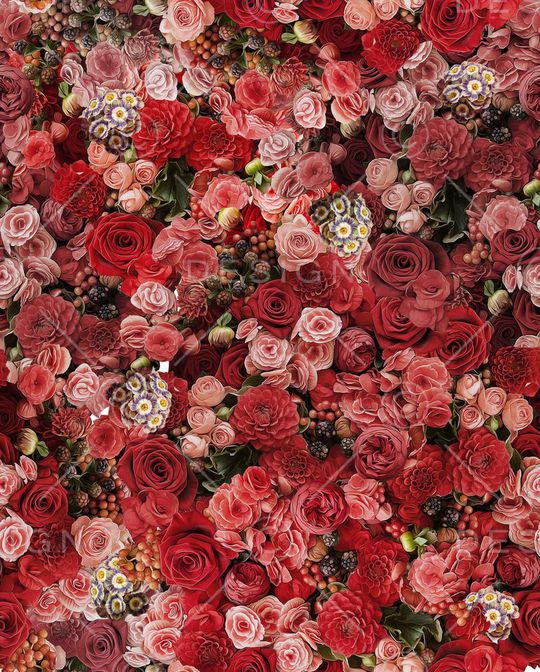 欧美印花华亿平台图片