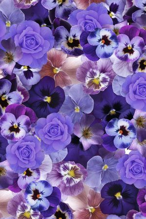 欧美印花华亿平台图片