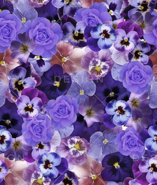 欧美印花华亿平台图片