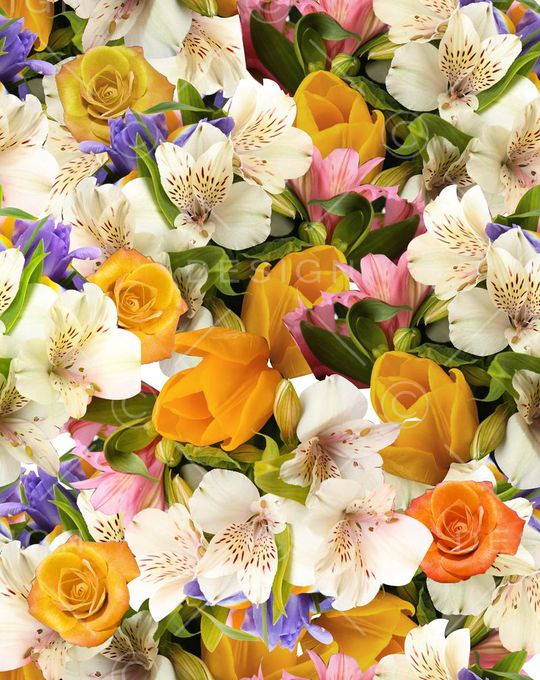 欧美印花华亿平台图片