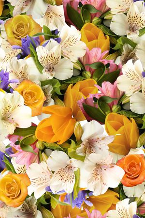 欧美印花华亿平台图片