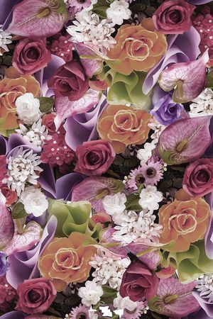 欧美印花华亿平台图片