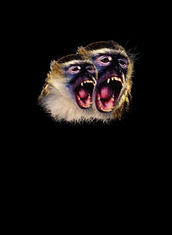 欧美印花华亿平台图片