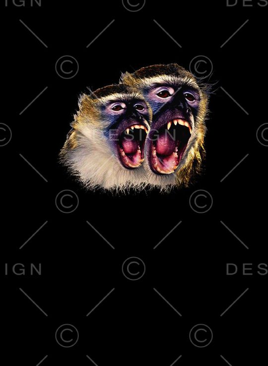 欧美印花华亿平台图片