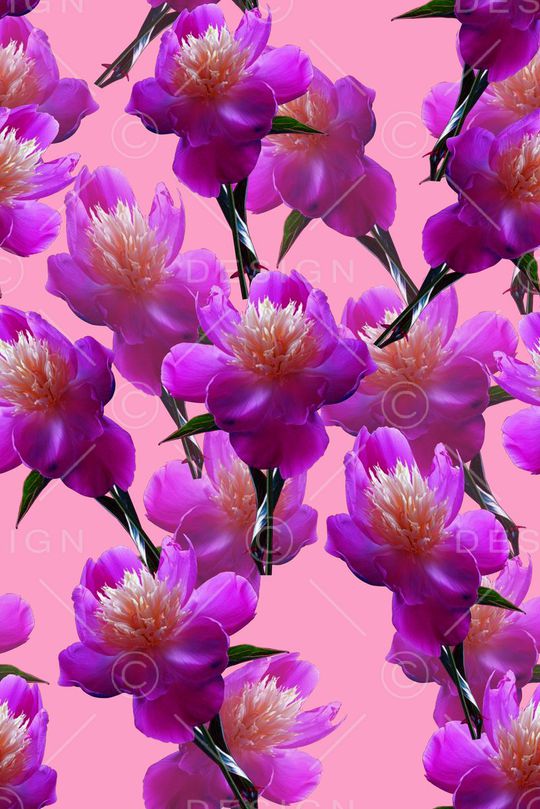 清爽风格印花华亿平台图片