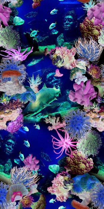 海洋印花华亿平台图片