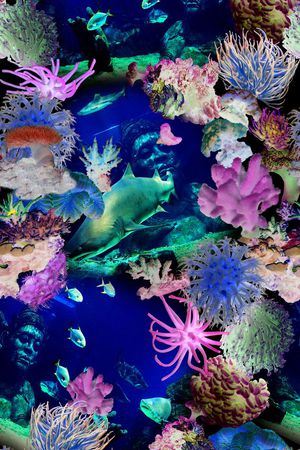 海洋印花华亿平台图片