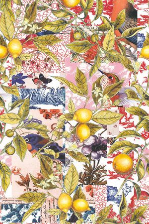 天堂鸟花印花华亿平台图片