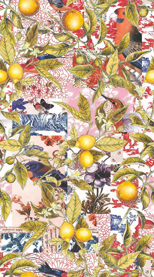 天堂鸟花印花华亿平台图片