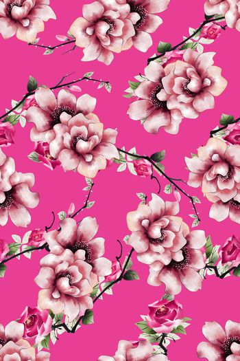 591672-月季花牡丹花玫瑰花