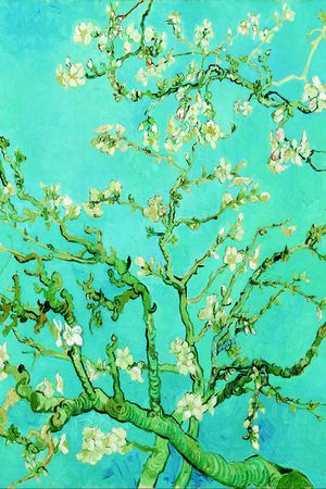 梵高印花华亿平台图片