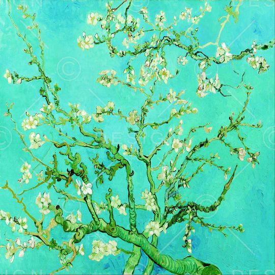 梵高印花华亿平台图片