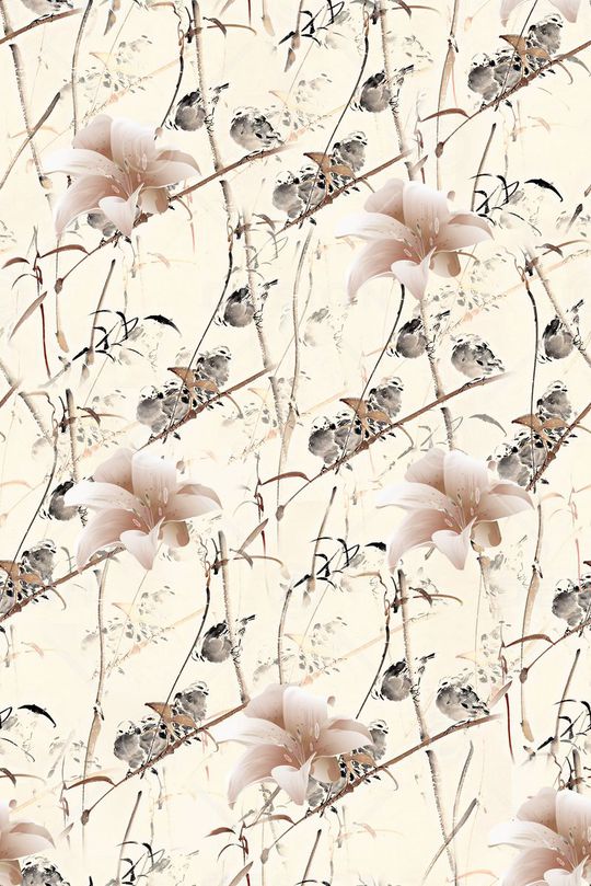 女装衬衫印花华亿平台图片