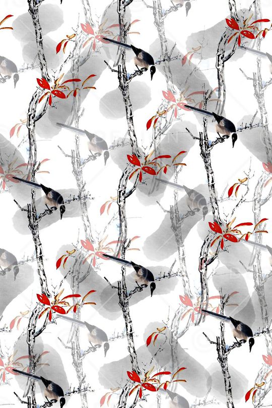 女装衬衫印花华亿平台图片