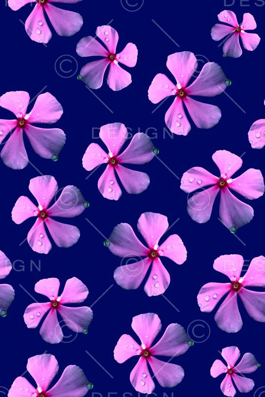 油画印花华亿平台图片