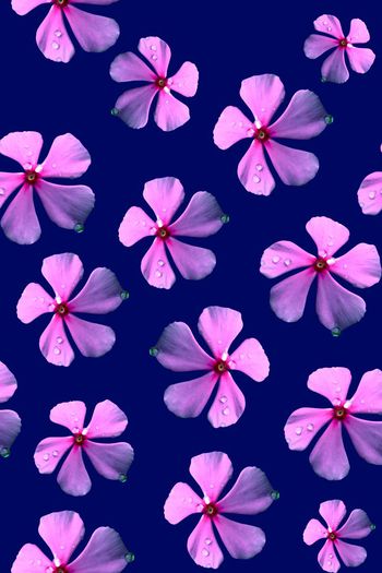 油画印花华亿平台图片